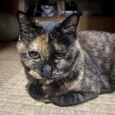 川村 治士のプロフィール画像