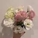 今村 三桜のプロフィール画像