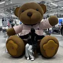 RIN🐰/府中 パラジェルのプロフィール画像