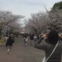 List. 山本那緒のプロフィール画像