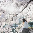 束感・に合わせまつ毛 🫧吉祥寺🫧のプロフィール画像