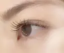 katano harunaのプロフィール画像
