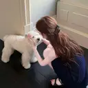 🦋momo 🦋のプロフィール画像