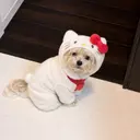 𝐚𝐬𝐚𝐡𝐢 🩶のプロフィール画像