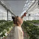 REJOUIR 🌝🍓yuhiのプロフィール画像