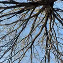 。 。のプロフィール画像