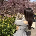 カタギリ カレンのプロフィール画像