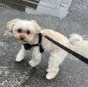 瀬川 航嗣のプロフィール画像