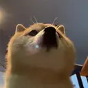 laurel Kanonのプロフィール画像