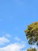 OTI AKIのプロフィール画像