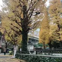 ラン サイキョウのプロフィール画像