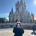 かまだ しおりのプロフィール画像