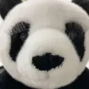 坂井 亜衣のプロフィール画像