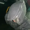 西本 武尊のプロフィール画像