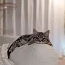 LaBless 難波 kanonのプロフィール画像