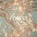 膳所FOREST rikaのプロフィール画像