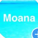 小顔美肌salon MOANAのプロフィール画像