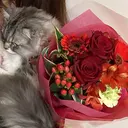 Nail Coronのプロフィール画像