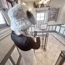 UEDA mのプロフィール画像