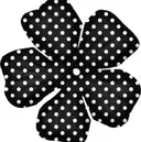 Sugiura 🎼のプロフィール画像