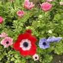 サロン Cocohanaのプロフィール画像