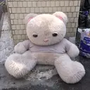 坂田 拡帆のプロフィール画像