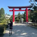 Mayshen マヒロのプロフィール画像