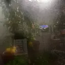 長岡 美来のプロフィール画像