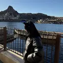 齊藤 千惺のプロフィール画像