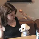 eyelist rie.のプロフィール画像