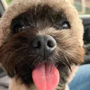 番園 あかねのプロフィール画像