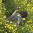 Tauchi Azumiのプロフィール画像