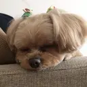 花房 美咲のプロフィール画像