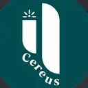 yamashita saeのプロフィール画像