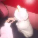 水竹 日向のプロフィール画像