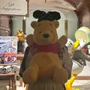 関根 莉杏のプロフィール画像