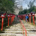 中野 優香のプロフィール画像