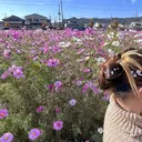 斧田 莉穂のプロフィール画像