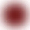 竹内 歩花のプロフィール画像