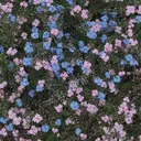 菊池 優貴乃のプロフィール画像