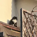 . suzunaのプロフィール画像