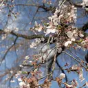 白木 悠登のプロフィール画像