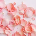 サロンドリコ Natsuのプロフィール画像