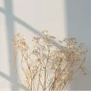 spica🌛 .のプロフィール画像