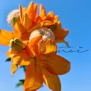 salon noiのプロフィール画像