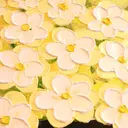 eyelash/✴︎ BEGINフカワのプロフィール画像