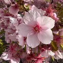 🌈無料モデル様募集 ネイルケア専門サロンのプロフィール画像