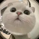 Egao Nail錦糸町店のプロフィール画像