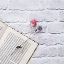 EYE  STAR+ 小山田のプロフィール画像