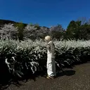 Кurisak ♛ Уuriаのプロフィール画像